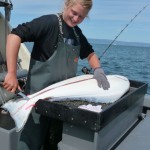 jona filleting