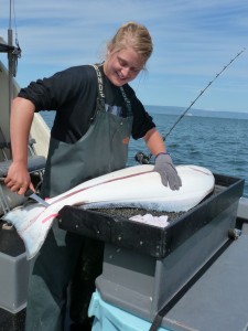 jona filleting