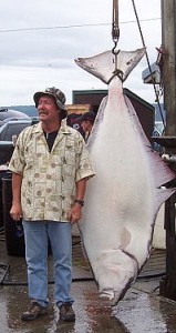Larry and his Halibut Larry and his Halibut