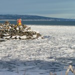 harbor ice