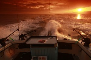 Julia Lynn Sunrise