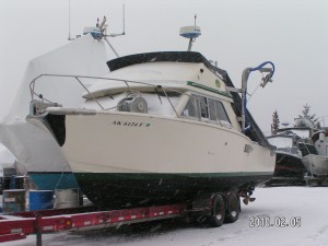 julia lynn on the trailer