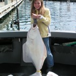 Halibut