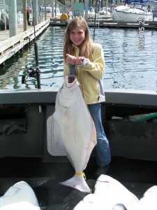Halibut