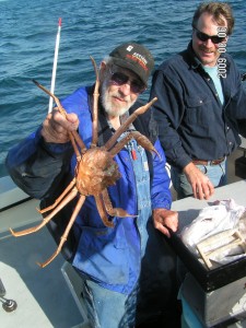 Slim's Crab