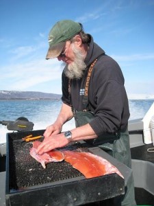PETE FILLETING