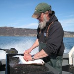 PETE FILLETING A HALIBUT IN APRIL