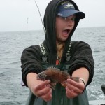 Rockfish Rockfish