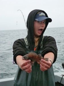 Rockfish